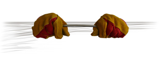 Domex Steel